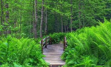 Borçka Karagöl Turu